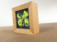Load image into Gallery viewer, Moth by Loretta Markell