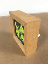 Load image into Gallery viewer, Moth by Loretta Markell