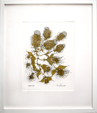 Load image into Gallery viewer, "Bumble Bee" by Terry Lee Dill