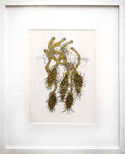 Load image into Gallery viewer, "Floater" by Terry Lee Dill