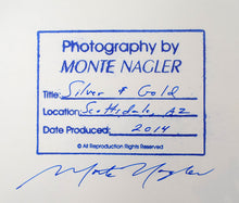 Load image into Gallery viewer, "Silver & Gold" by Monte Nagler