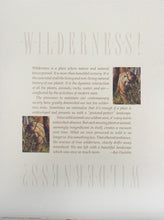 Load image into Gallery viewer, "Wilderness! Wilderness?" by Bev Doolittle