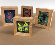 Load image into Gallery viewer, Sharkey by Loretta Markell