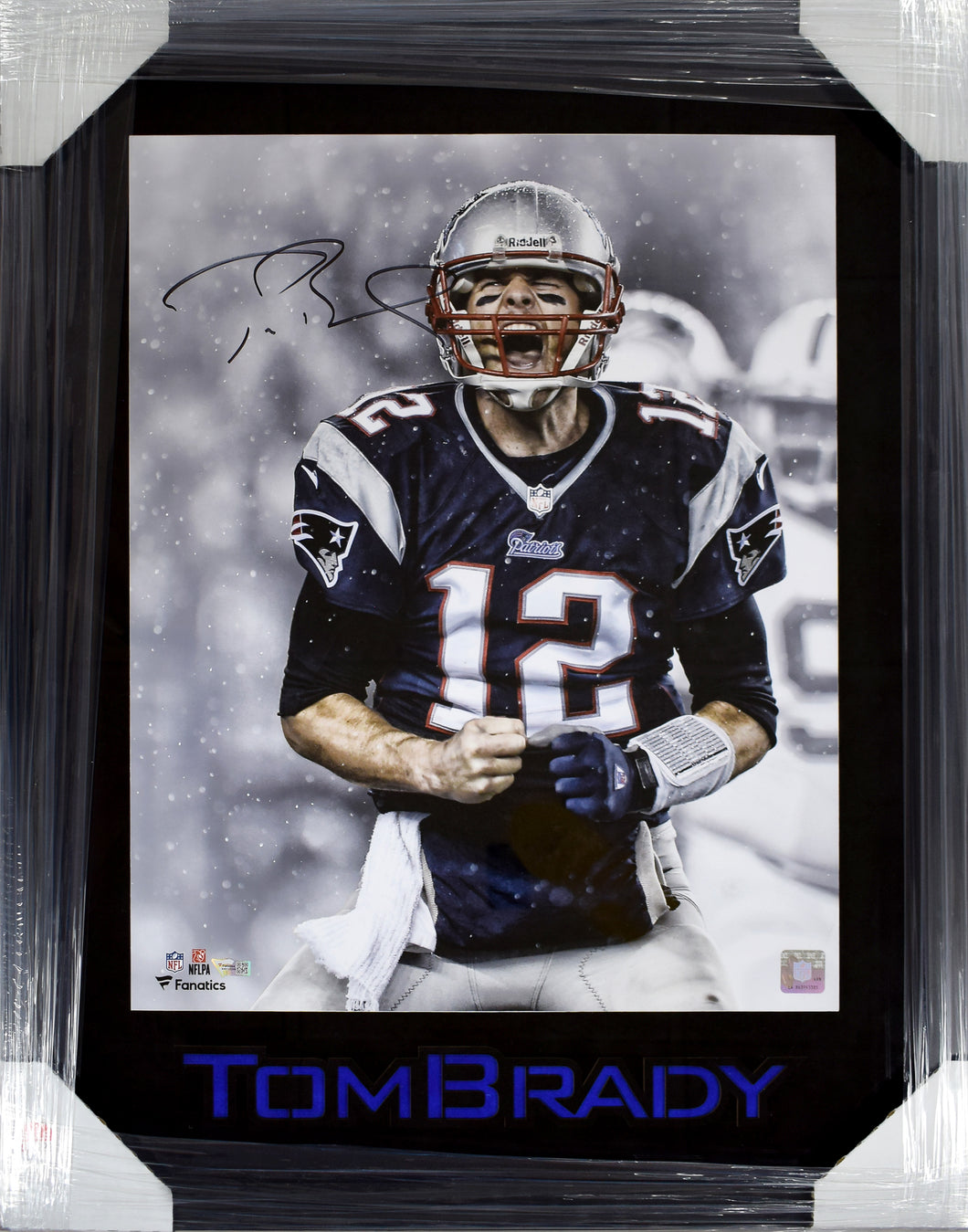 Tom Brady 16x20, Signed