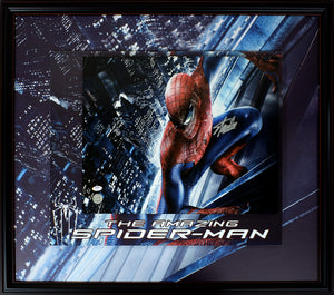 Spider-Man 16x20, Signed