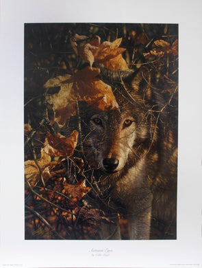 A wolf hides behind the fall leaves of a tree. The wolf has brown eyes that mas