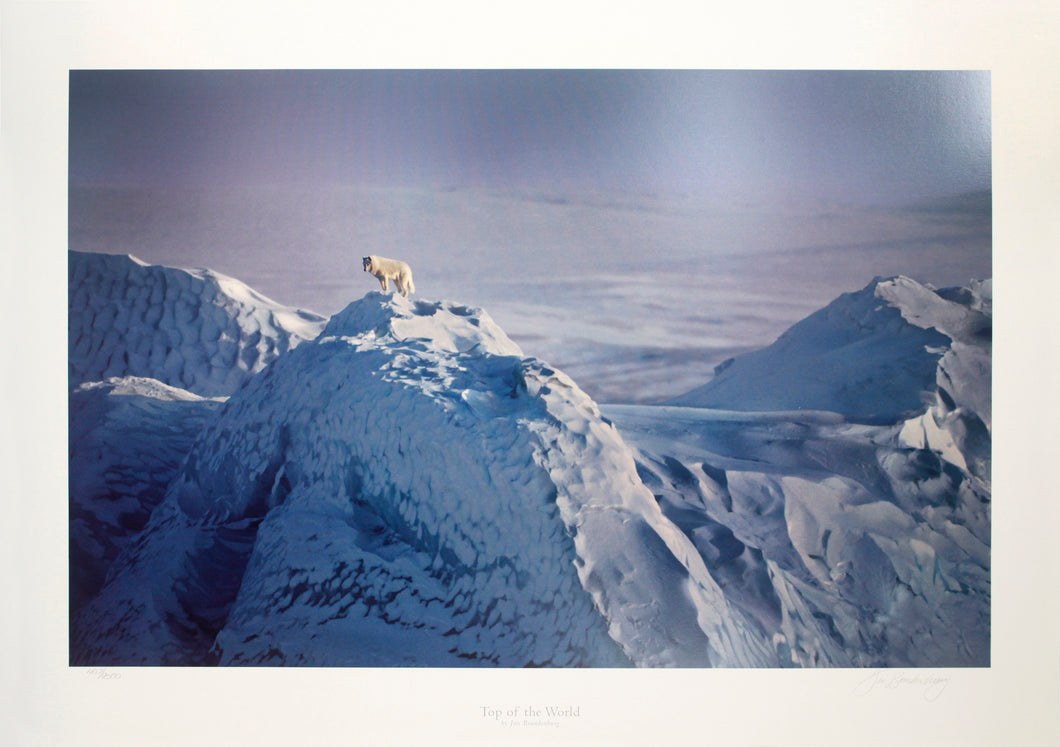 Top of the World by Jim Branderburg