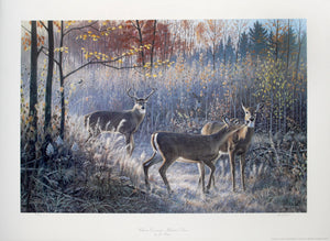 "Chance Encounter - Whitetail Deer" by Jim Kasper