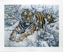 Load image into Gallery viewer, &quot;The Snow Queen - Siberian Tiger&quot; by Lee Kromschroeder