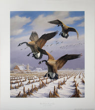 Load image into Gallery viewer, &quot;Winter Wonder - Canada Geese&quot; by David A. Maass