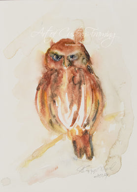 Small Red Owl by Peggy O'Neil