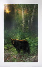 Load image into Gallery viewer, &quot;Sunset Surprise - Black Bear&quot; by Michael Sieve
