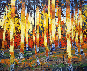 "Sunrise Forest" by Steve Tracy