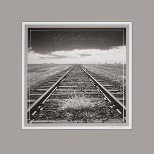 "Tracks to Infinity" by Monte Nagler