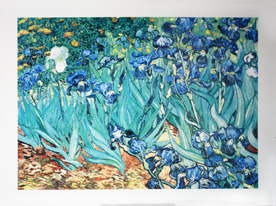 Les Irises by Vincent van Gogh