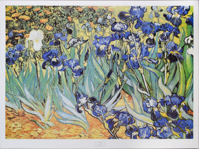 Iris Garden by Vincent van Gogh