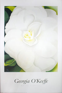 White Camellia by Georgia O'Keeffe