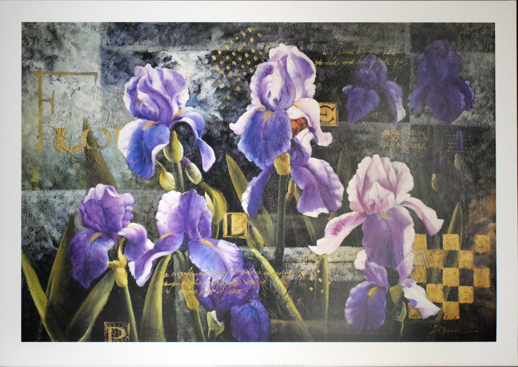 Iris Garden by Meng