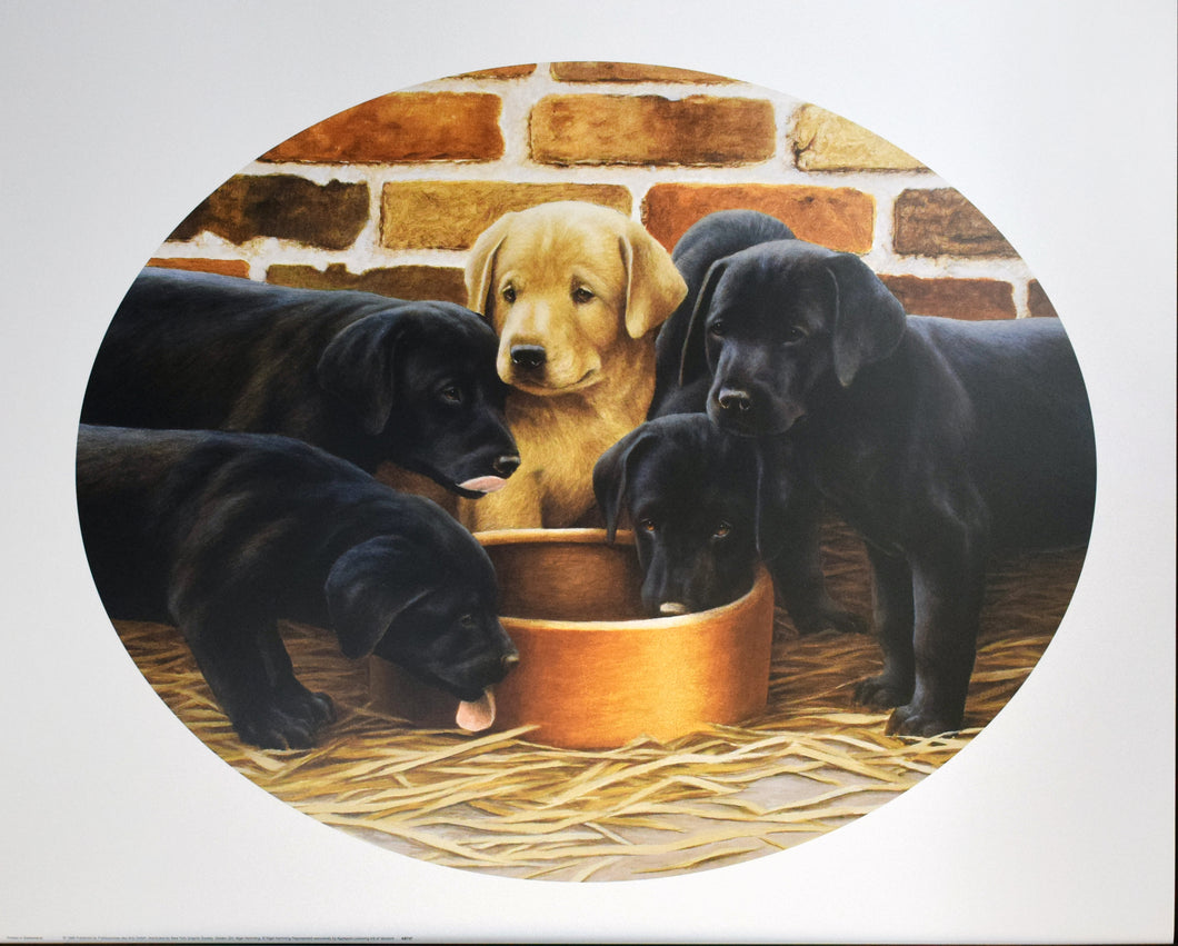 Golden Girl by Nigel Hemming