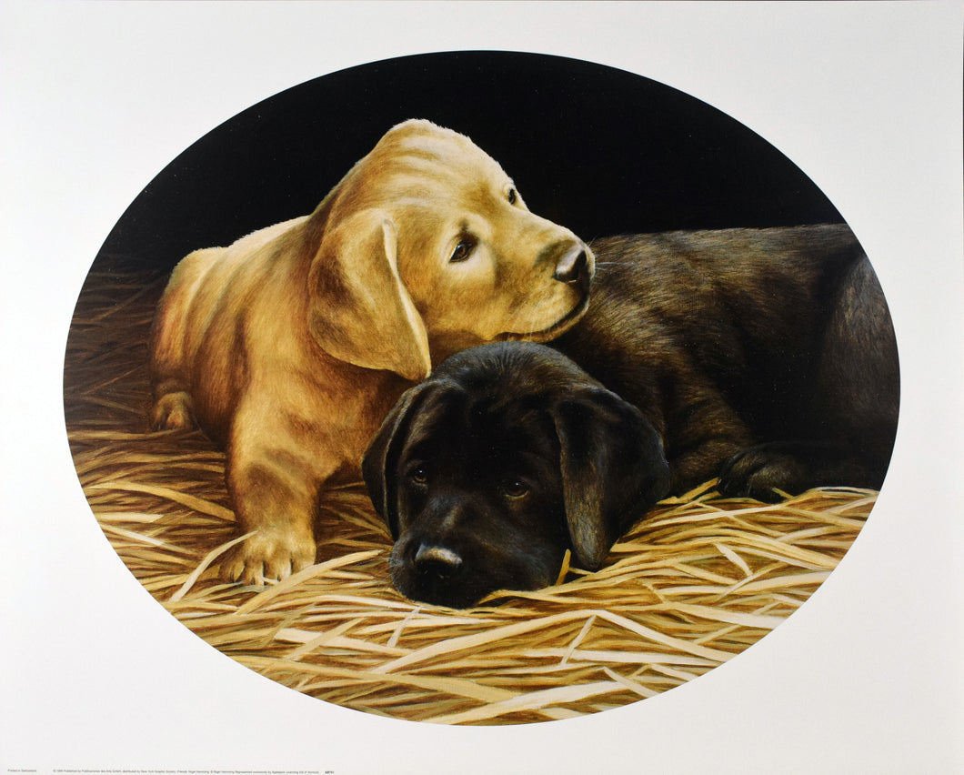 Friends by Nigel Hemming