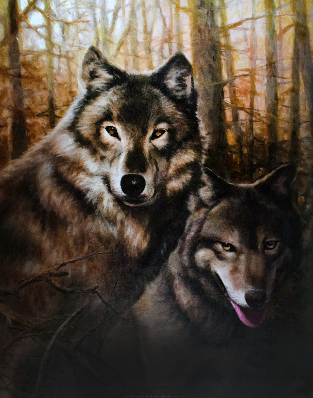 Two Wolves