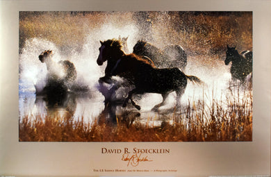 The LX Saddle Horses by David R. Stoecklein