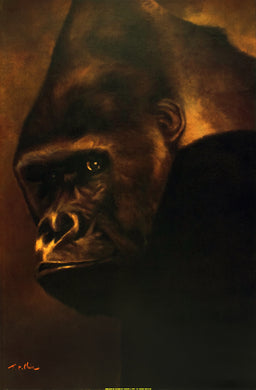 Ape unknown artist, poster, unframed. 24 by 36 inches. The image is dark brown in the background and it shows the profile of an ape looking to the center focus. The ape is facing us but body is faced toward the left. This is was painting made into a poster so th eeye has some bright brushstrokes of yellow.  