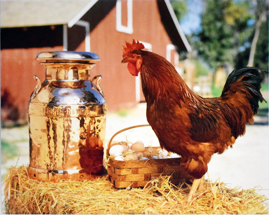 Rooster & Milk Jug by Tom Kelley