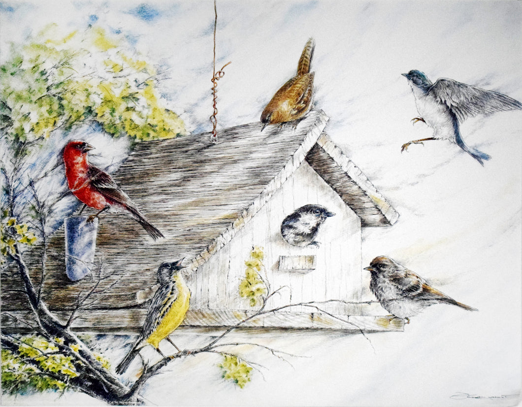 Birds at the Birdhouse by Frank Hnat