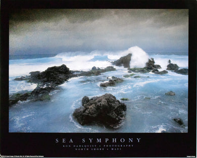 Sea Symphony by Ron Dahlquist