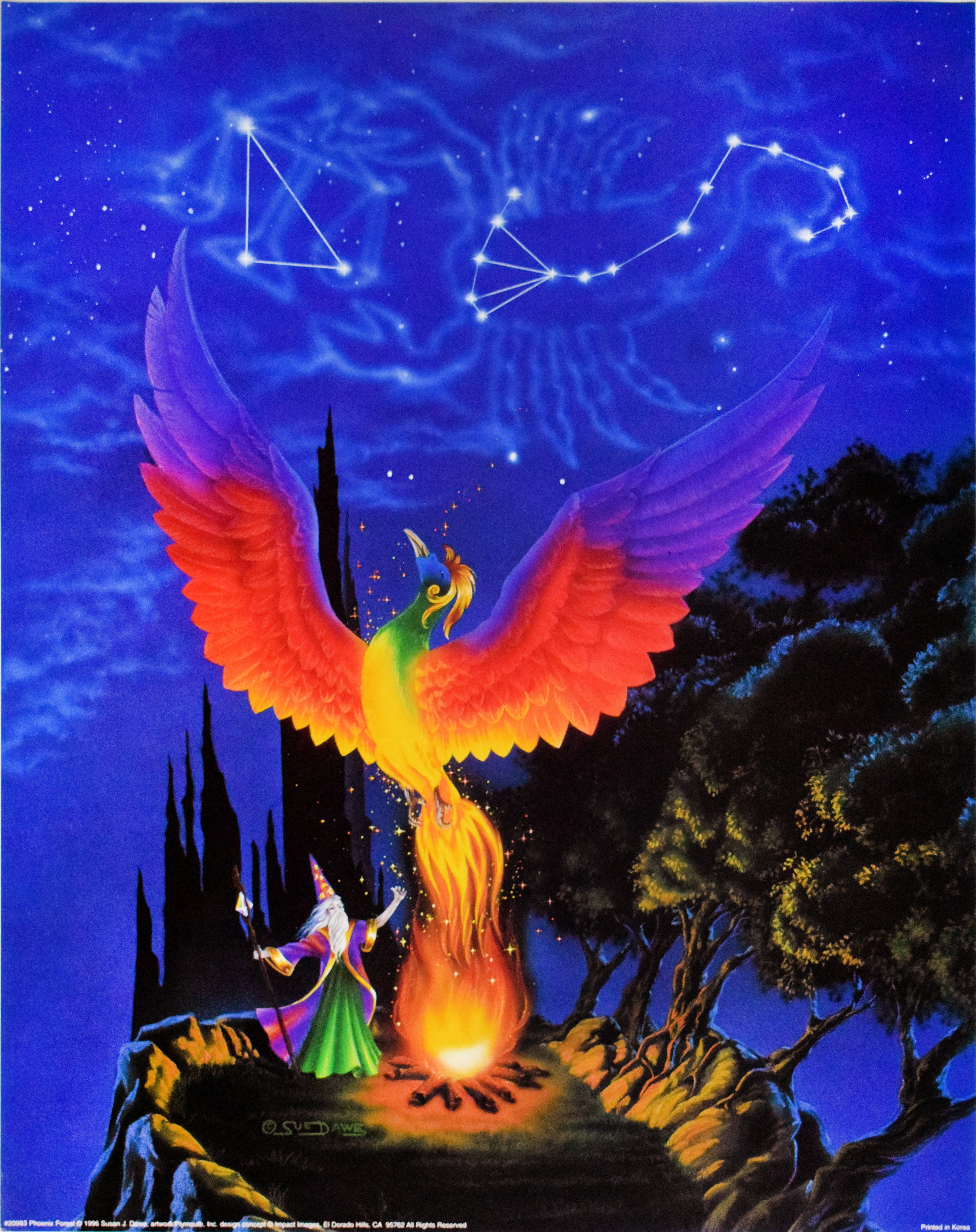 Phoenix Forest by Susan J. Dawe – The Art of Custom Framing