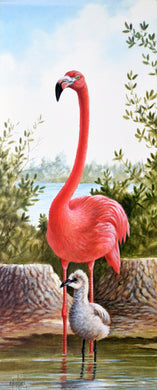 Flamingo & Chick by R. Jenkins