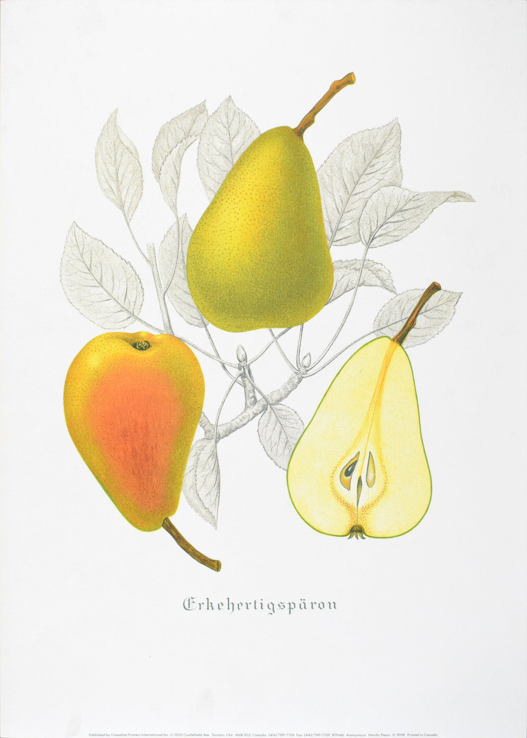 Nordic Pears