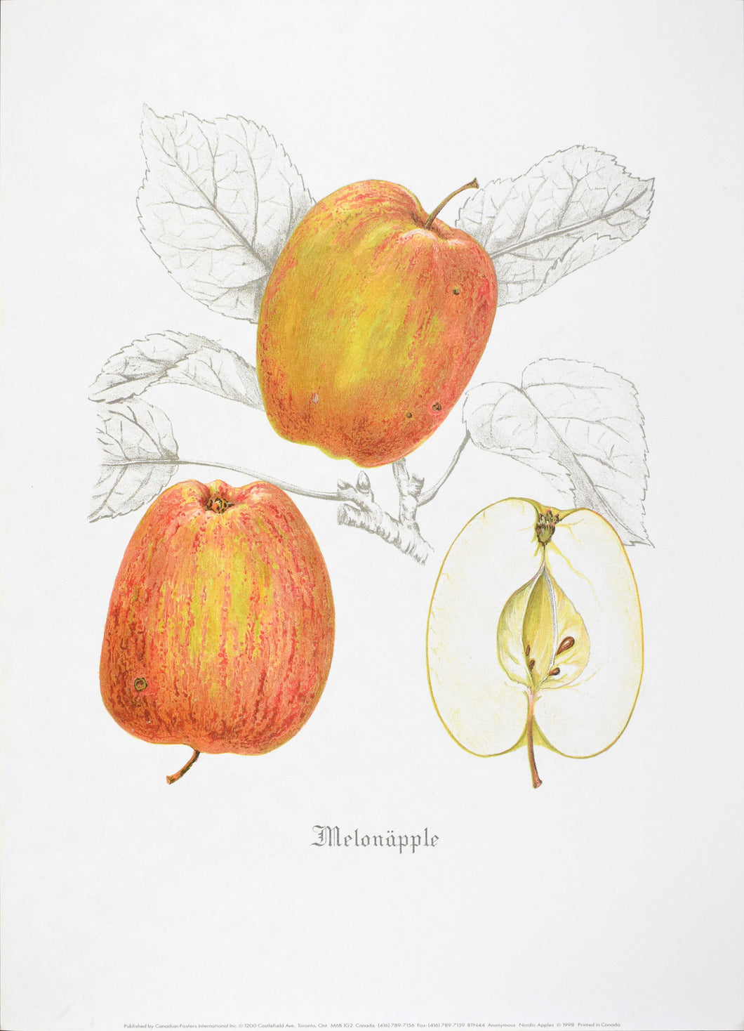Nordic Apples