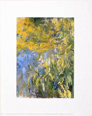 Iris by Claude Monet