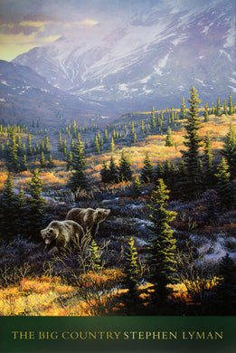 The Big Country by Stephen Lyman