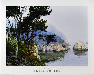 Whaler's Cove: Morning Fog by Peter Loftus