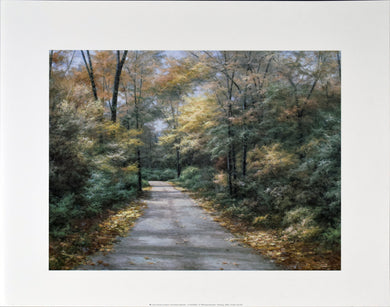 Windsong by Diane Romanello