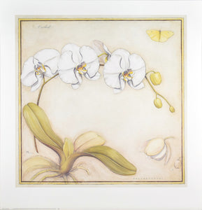 "White Orchid" by Meg Page