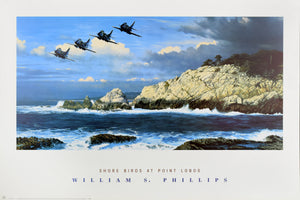 "Shore Birds at Point Lobos" by William S. Phillips
