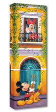 Load image into Gallery viewer, Balcony Serenade by Tim Rogerson