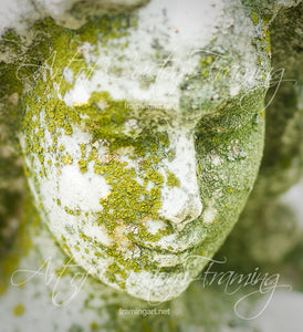 "Moss Face" by Mary Mans